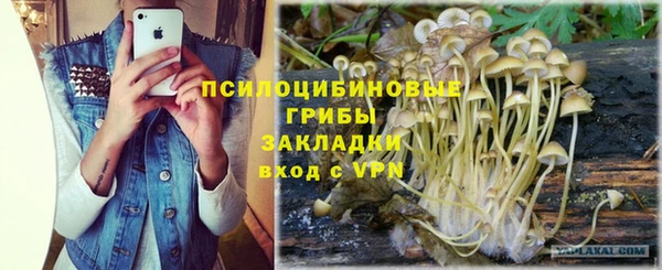 ешки Балахна
