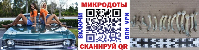 Псилоцибиновые грибы ЛСД Ершов